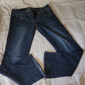 American Eagle Outfitters Dark Blue Flare Jeans